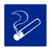 Pictogram Smoking allowed 150x150mm PP sign